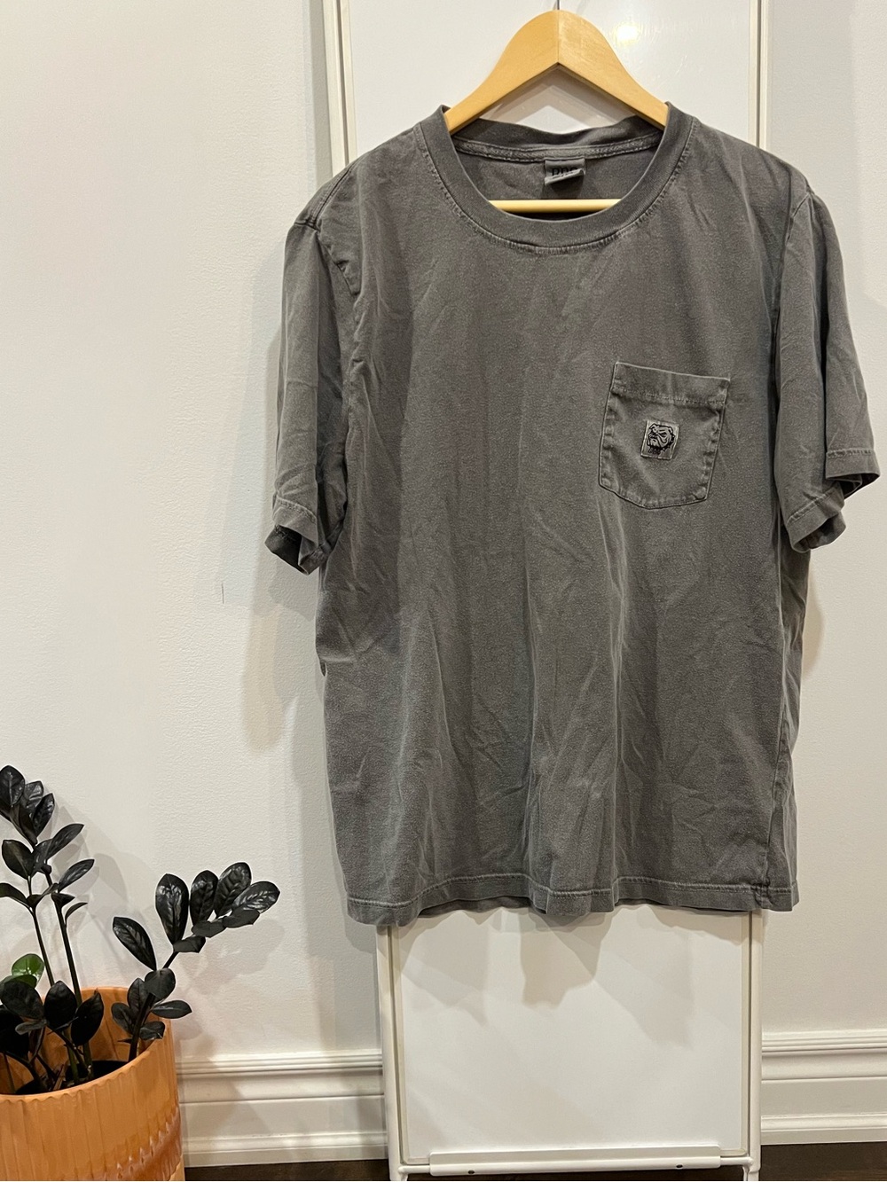BDG Grey Men’s 100% Cotton T-Shirt
